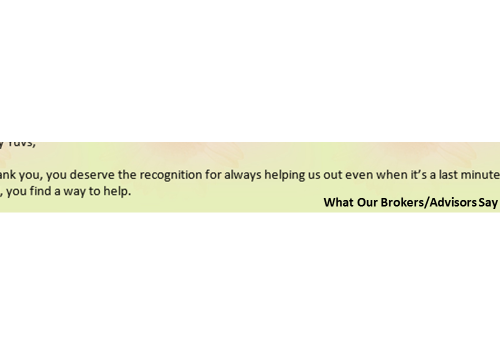 What our advisors have to say What our advisors have to say